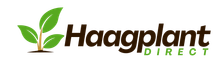 haagplantdirect.nl