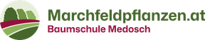 Marchfeldpflanzen