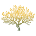Olea.com.pl