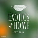 exocticsathome.com