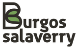 burgossalaverry.es/- Logotipo - Valoraciones