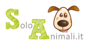 soloanimali.it