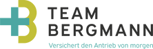 Team Bergmann