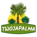 twojapalma.pl
