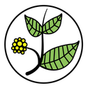 Kratomheld.de