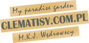 clematisy.pl
